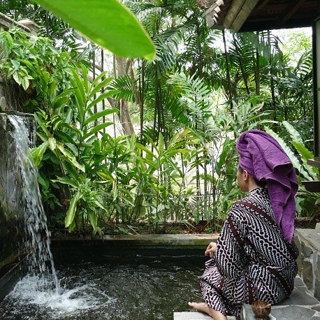 About Leaf Juice