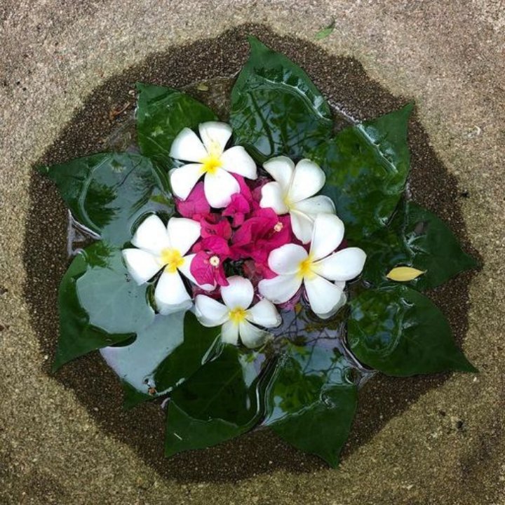 flowers and water in balinese bowl